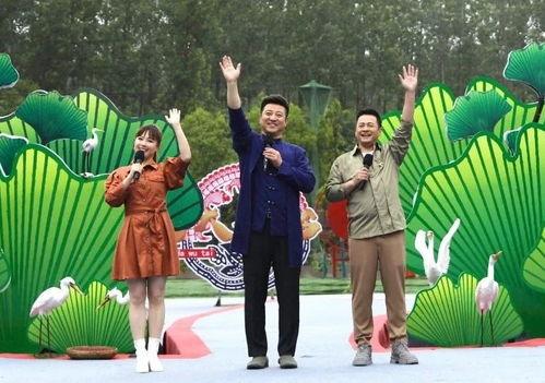 南海租房大爆料视频最新,最新视频大爆料解析  第1张